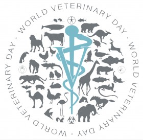 Veterinarijos klinikos